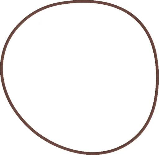 215391770 - Ущільнювальне кільце гальма MF