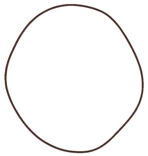 215391180 - Ущільнювальне кільце гальма MF