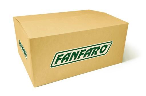 FANFARO OIL OPEL5W3060L OPEL 5W-30 60L DEXOS2 C3