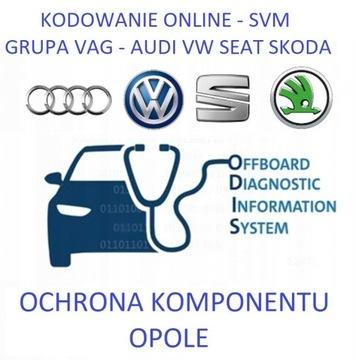 Захист компонентів CP OFF Кодування Skoda VW Opole
