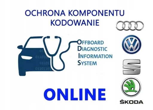 Захист компонентів VAG Online Geko CP