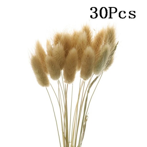 Кролик хвост натуральный сушеный цветок пампасы трава букет настоящий букет