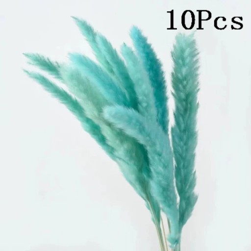 Кролик хвост натуральный сушеный цветок пампасы трава букет настоящий букет