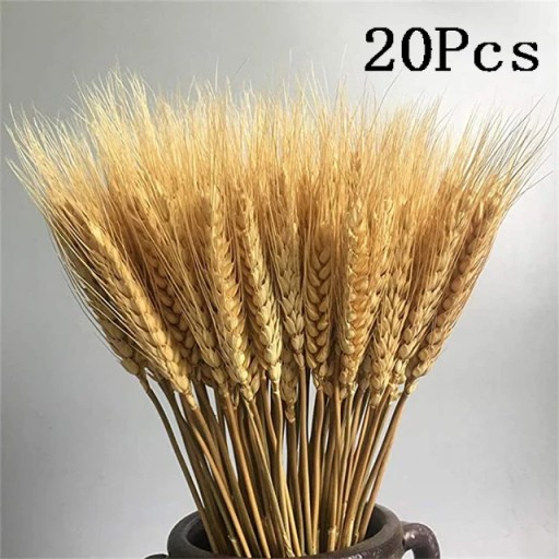 Кролик хвост натуральный сушеный цветок пампасы трава букет настоящий букет