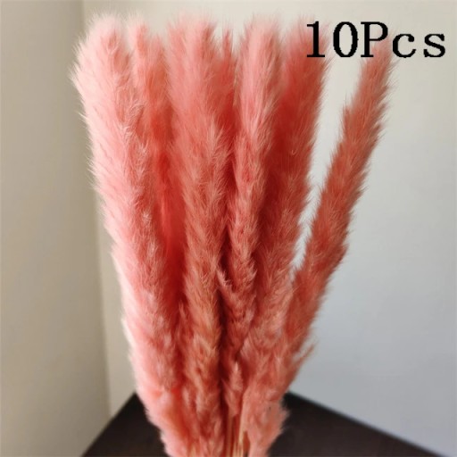 Кролик хвост натуральный сушеный цветок пампасы трава букет настоящий букет