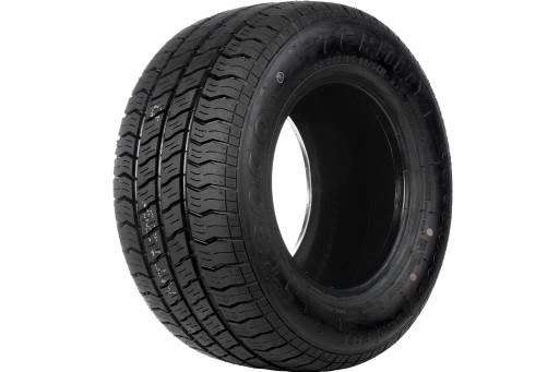 Шины 195/55 R10C 98 / 96N Eternity ST-6000