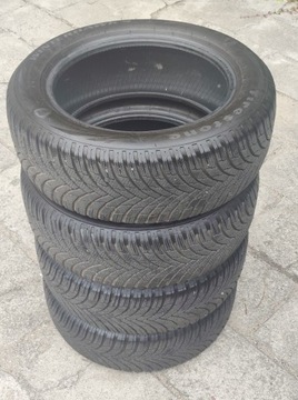 Зимняя резина Firestone Winterhawk 4 205/55/R16 91H 3920
