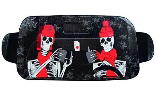 Защитная пленка для лобового стекла автомобиля