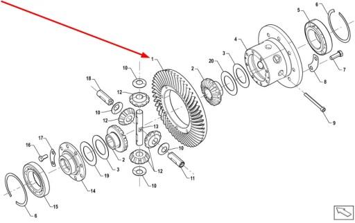 ASP5M38201102 - P5M38201102 Шестерня диференціала