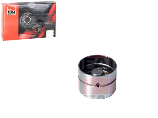 КЛАПАН ПУСТЕР 8 ШТ. FAI BFS66S AUDI OPEL SKODA VW FAI