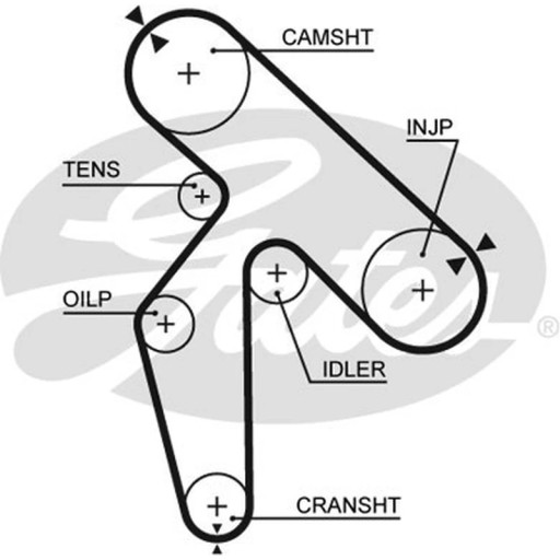 5391XS - Ремень ГРМ GATES 5391XS