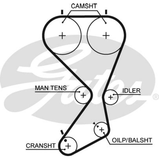 5556XS GATES - Ремень ГРМ GATES 5556XS