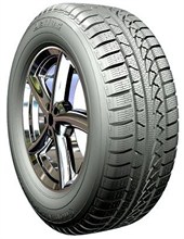 Petlas Snow Master W651 205/65R16 95 H зимова гума