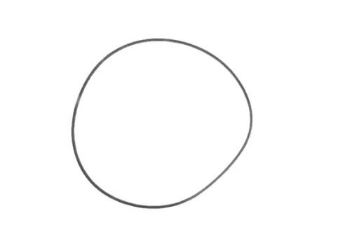 9823416 - Кільце ущільнювача New Holland