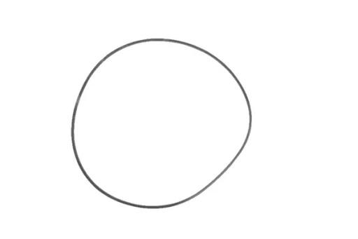 9823415 - Кільце ущільнювача New Holland