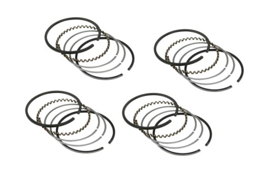 520030SA.000 - Поршневые кольца STD NISSAN H15