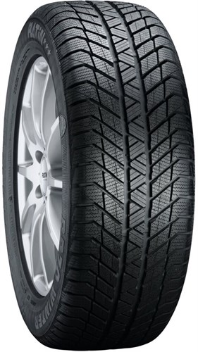 Зимняя шина Platin RP-70 Winter 205/50R17 93 V XL FR