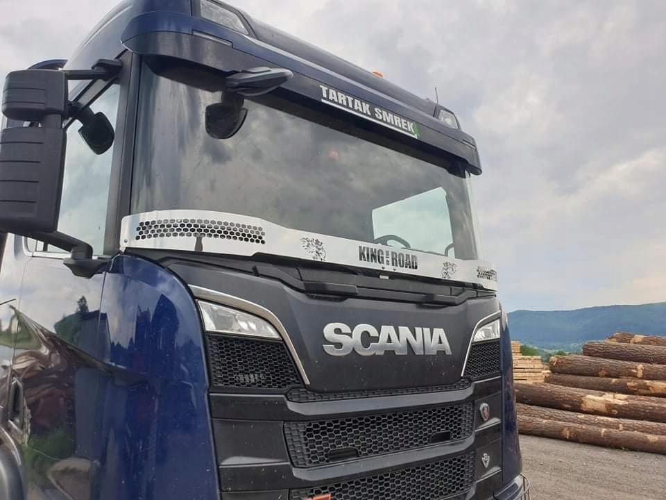 Scania S / R Next Generation Inox дзеркало