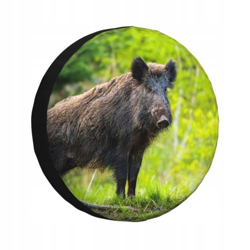 Кришка колеса шини кабана кришка шини