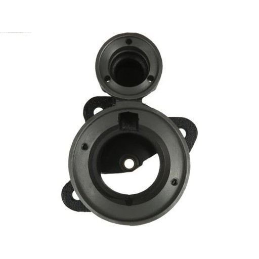 Крышка стартера, карбюратор AS-PL SBR0002