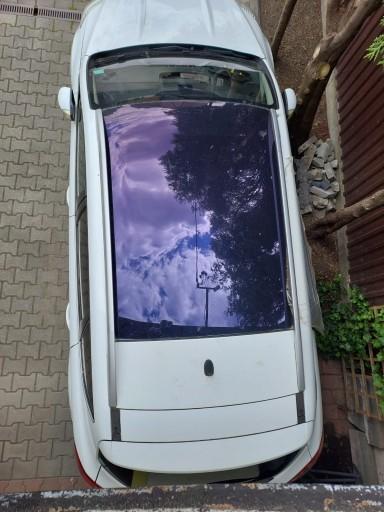 ПЕРИЛА FORD KUGA MK1 2 ШТ.