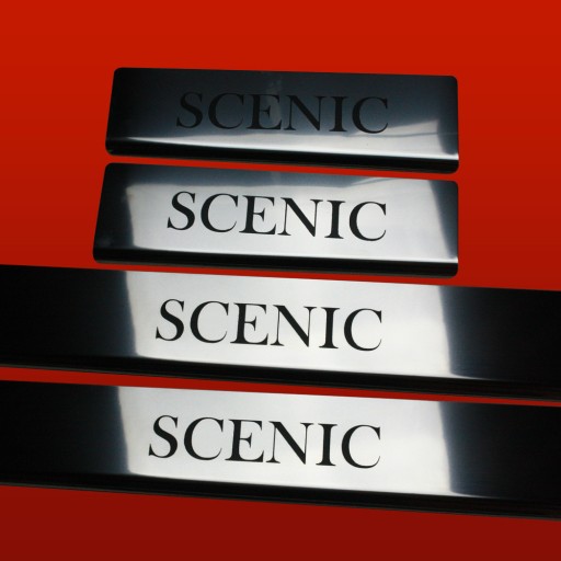 Накладки на пороги RENAULT SCENIC MK3 304 з нержавіючої сталі, обробка lu