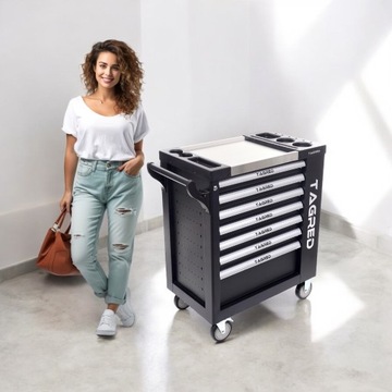 ШАФА ДЛЯ МАЙСТЕРНІВ ІНСТРУМЕНТІВ, ВІЗОК ДЛЯ СЕРВІСУ, 7 ЯЩИКІВ, 2 МІСЦЯ ДЛЯ ЗБЕРІГАННЯ