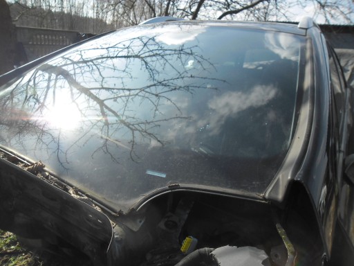 ЛОБОВЕ СКЛО PEUGEOT 407 SW СИНІЙ