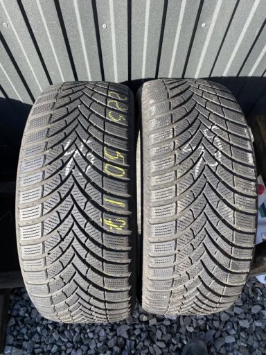 Semperit Speed-Grip 5 225/50R17 98 В