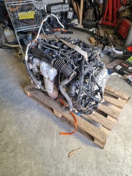 Двигатель Хонда 2021 года 1.5 бензин турбо