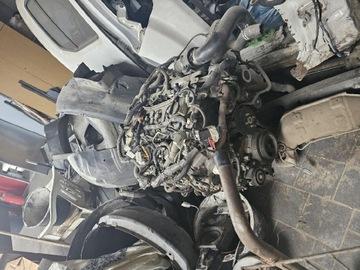 3G0823186B - Болт переднего капота VW PASSAT B8 2015-оригинал