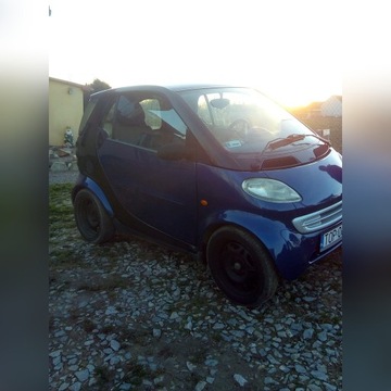 Smart 600