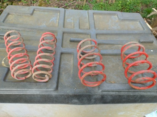 49 - Спортивные занижающие пружины Skoda Fabia 6Y Germany Red FKS49HA