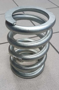 Весна 2431/27-001/0