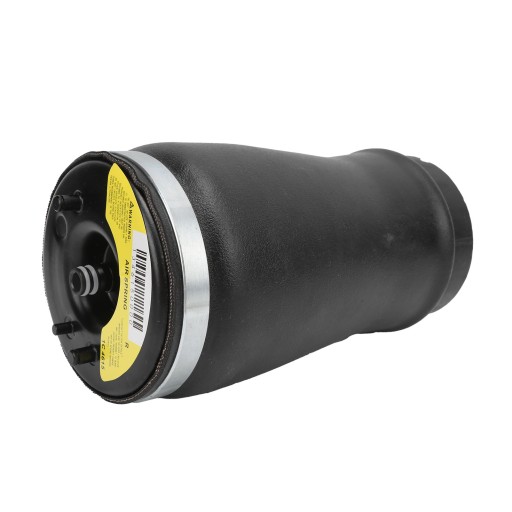 1618210215611 - Пневморессора задней правой,