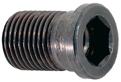 Гвинт 6-кат. з отвором LT35