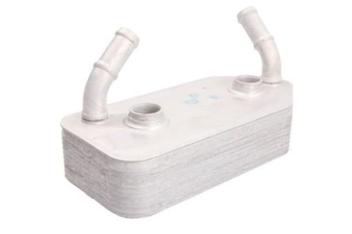 THERMOTEC D4W001TT Масляний радіатор