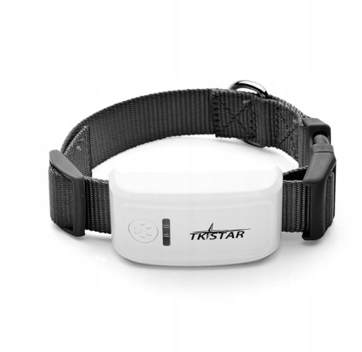 TK-909 Мини-водонепроницаемый GPS-локатор времени