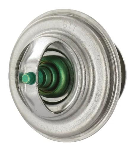 F119200050040 - Термостат, Фендт