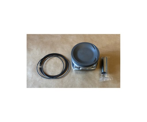 TL0113 - Поршень Nissan Almera Primera 1.8 114-128 л.с. 1999-