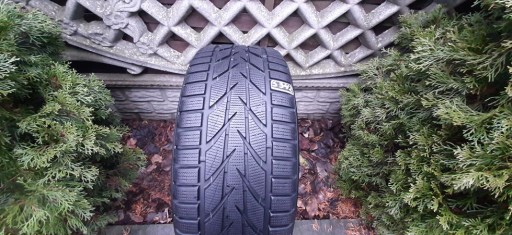 Toyo SnowProx S953 245/45R17 99V (S342)