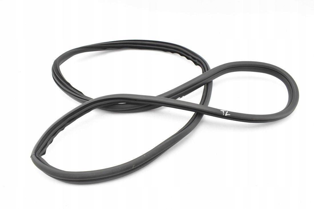 BRAK-DANYCH-19178461 - Ущільнювач двері лівий і правий задній КАРО BMW 1 F40