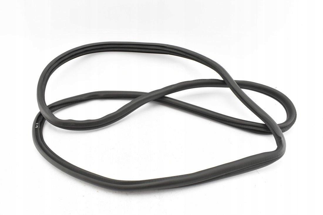 BRAK-DANYCH-31577738 - Уплотнитель двери задний левый КАРО BMW X3M F97 G01 17-