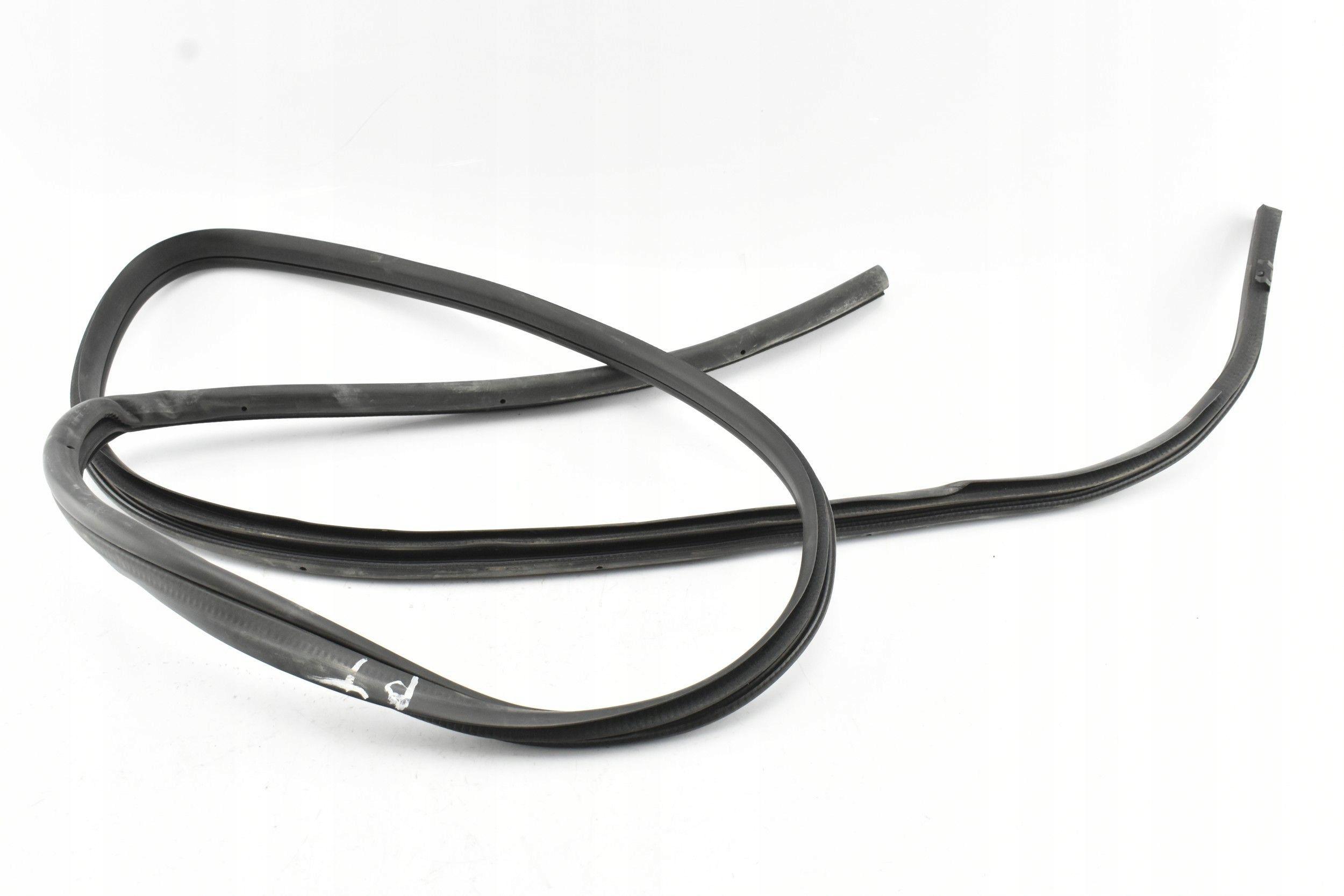 BRAK-DANYCH-66969925 - Ущільнювач кузова двері правий задній JUKE II F16