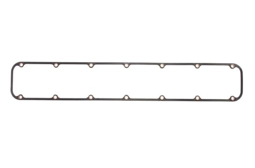 ENT010384 - Прокладка кришки клапана Case 83976376