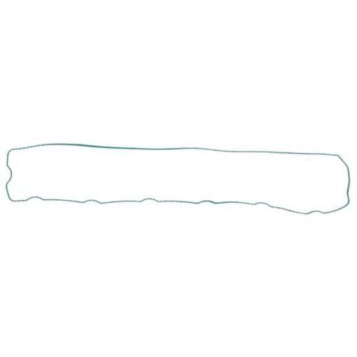 Прокладка клапанної кришки двигуна John Deere R524469