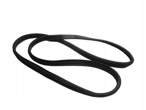 Ущільнення передніх дверей CLIO III 8200428873