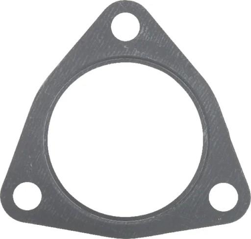 F119200090120 - Тюлень