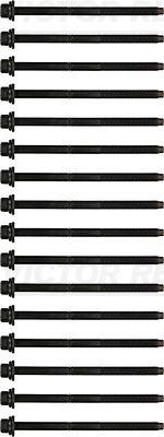 Victor Reinz 14-32171-01 комплект болтов головки блока цилиндров