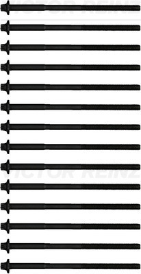 Набір болтів головки блоку циліндрів Victor Reinz 14-32365-01